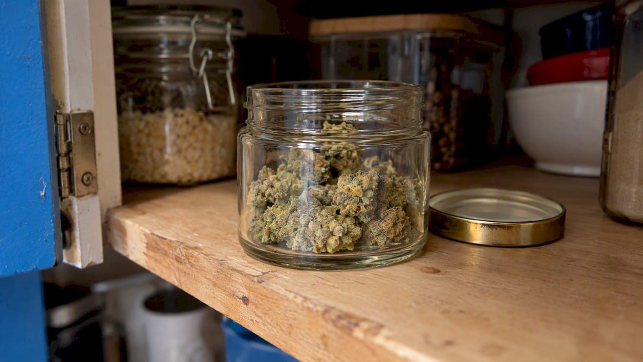 Shelf Life of Cannabis Flower: How Long It Stays Fresh
